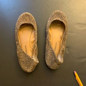 Cheetah flats